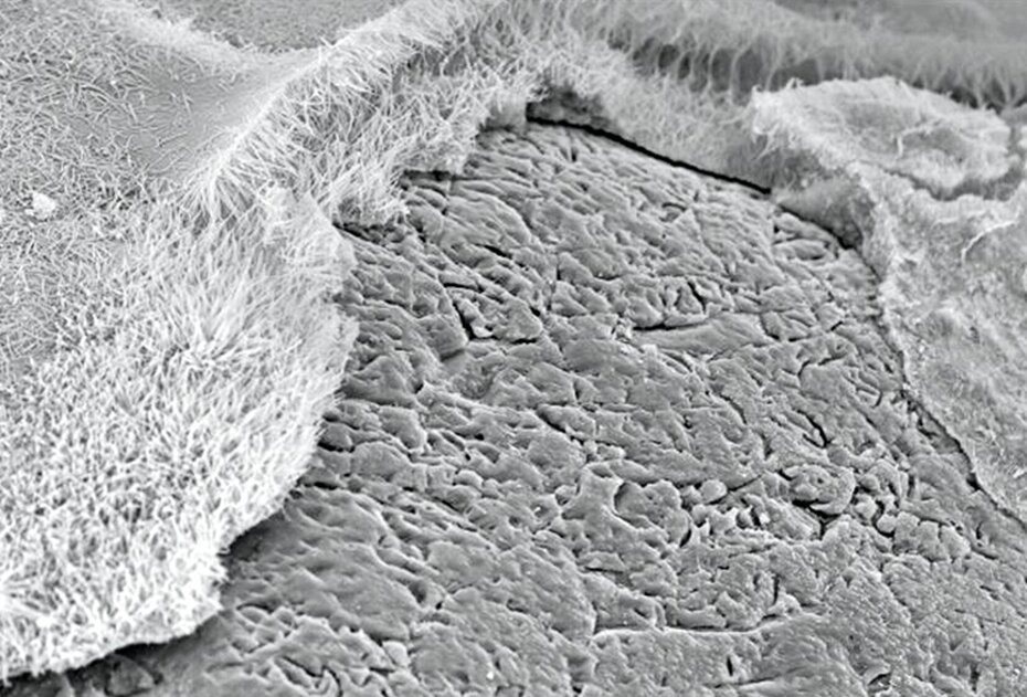 Foto: Universität Kassel - CO2 reagiert mit den kristallinen CSH-Phasen des Kalksandsteins zu Calciumcarbonat (CaCO3).