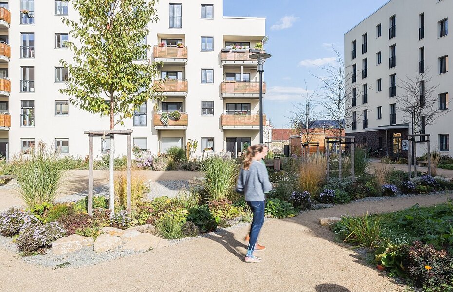 Wohnhof der Gartenstadt 2.0 – Quartier Immergrün in Jena mit mehrgeschossigen Wohngebäuden, Bepflanzung und Fußwegen